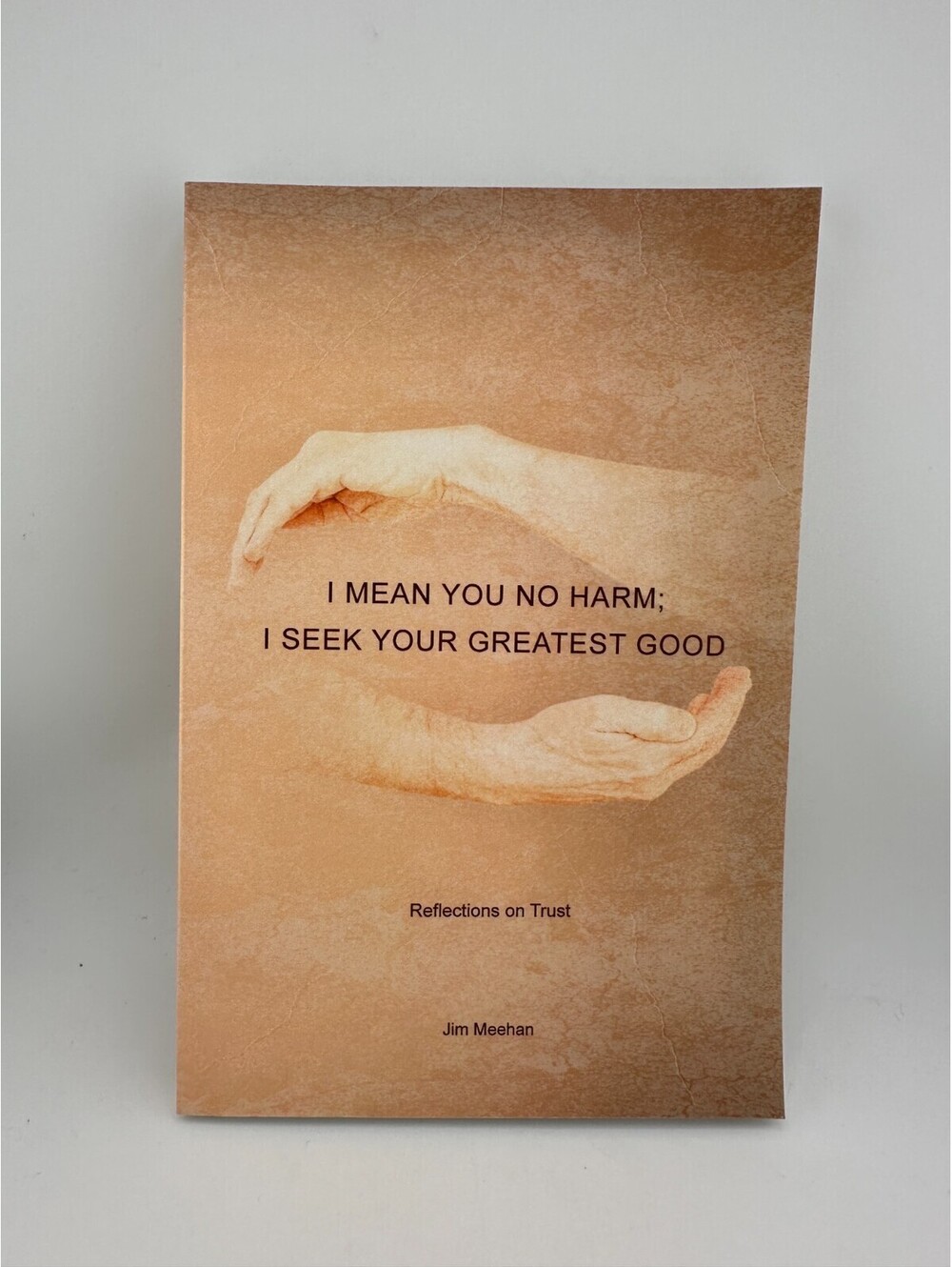 I Mean You No Harm Jim Meehan Paperback Reflections on Trust Psychology